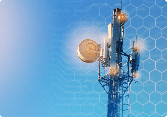 Primoris stock image